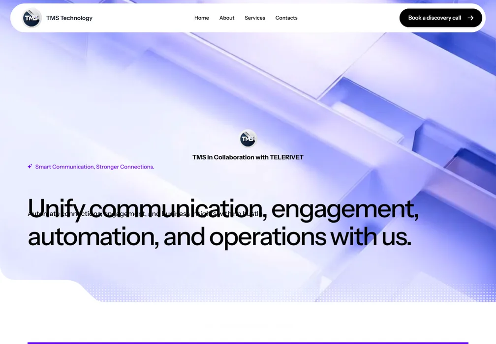 TMS TZ Technology website preview